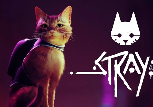 بازی Stray + تاریخ انتشار