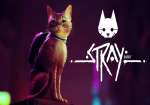 بررسی بازی Stray
